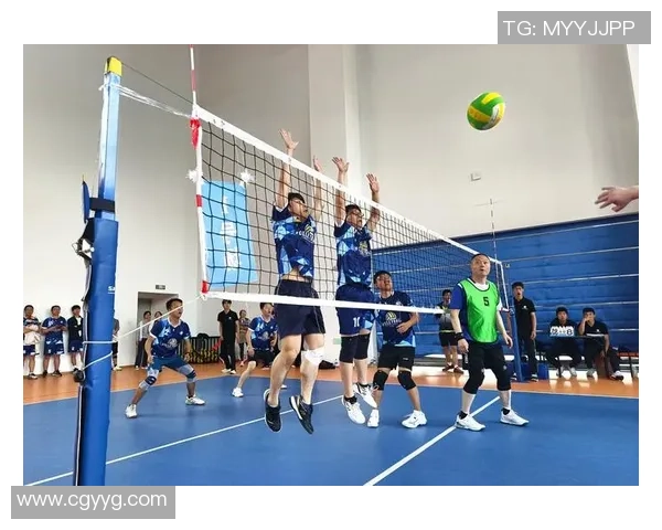 南京排球队在全国排球速度排行榜中荣获第七名的佳绩引发热议