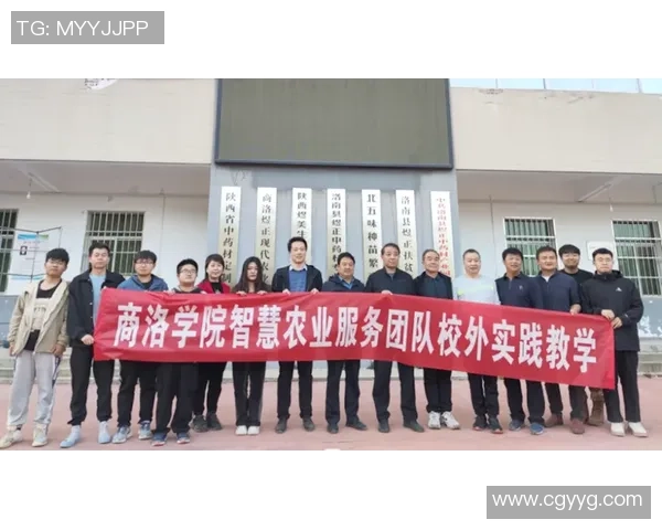 南京飞盘队团队协作的成功秘诀与实践探索